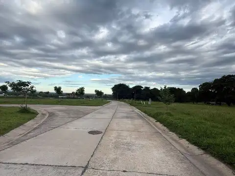 RUTA  PROVINCIAL 339 KM 5