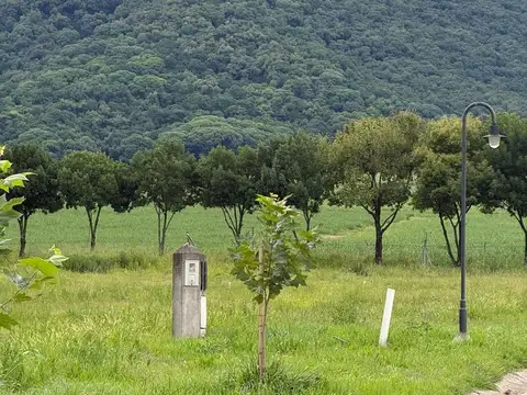 TERRENO  COUNTRY SAN PABLO ETAPA III 656 M2