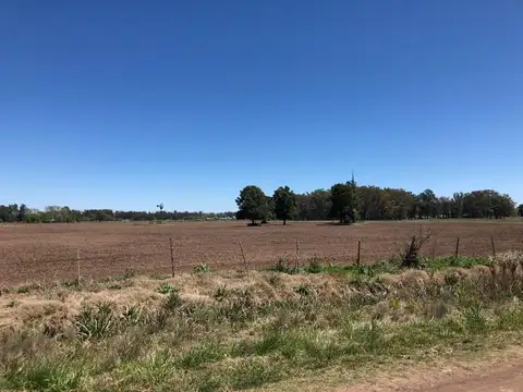 96 HAS EN SAN ANDRES DE GILES