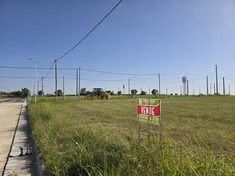 Avenida Los Cisnes 1000, Piso 0