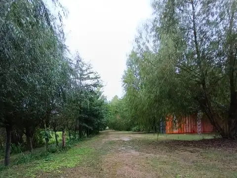 Terreno en Venta 300  mts Fondo