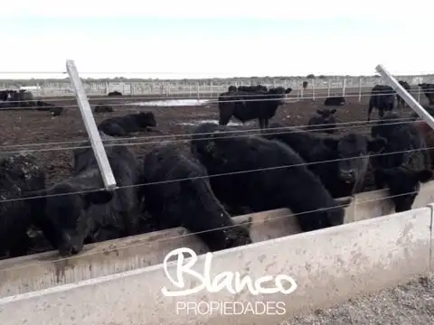 Casa Campo  en Venta en Toay, Santa Rosa, La Pampa Capital - BLA6128_LP573616_5