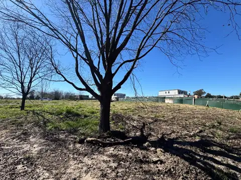 Terreno en Venta de 829,0 m2
