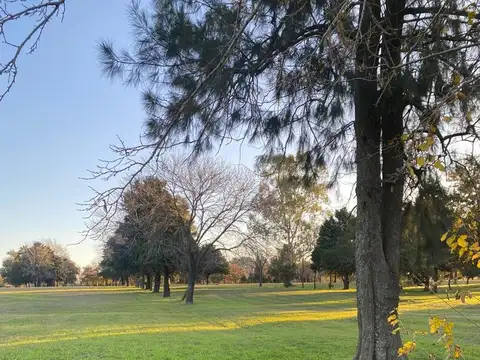 Terreno en Venta de 299,0 m2