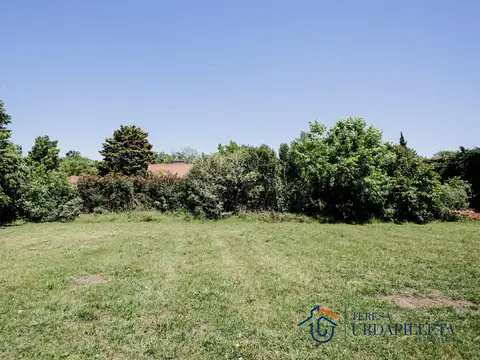 Terreno en Venta 42  mts Frente