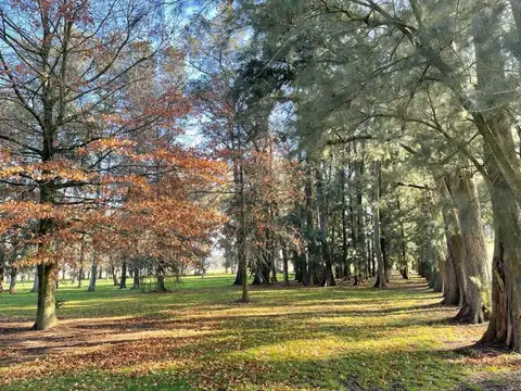 Terreno en Venta de 1000,0 m2