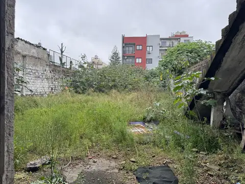 Galpon en Alquiler 8  mts Fondo