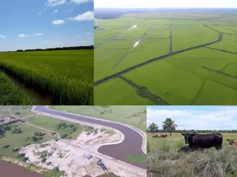 Campo en Formosa