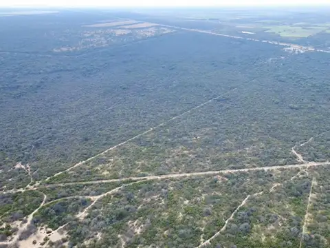 Campo de 438 ha sobre RN 34. Pje. San Martín L.B