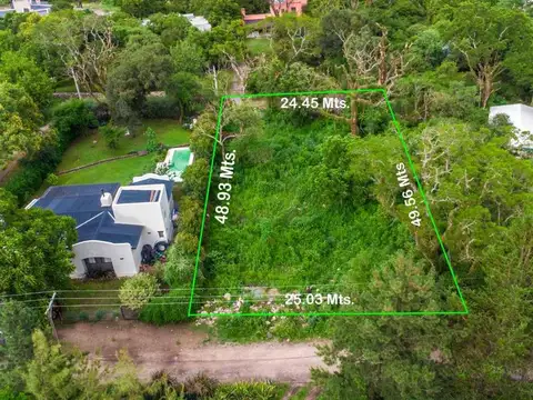 Castellanos. Julio Castellanos S/N