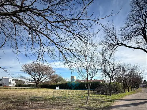 VENTA-LOTES EN JARDINES DEL LAGO-SINSACATE