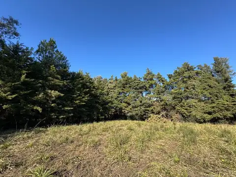 Terreno en Venta de 4050,0 m2