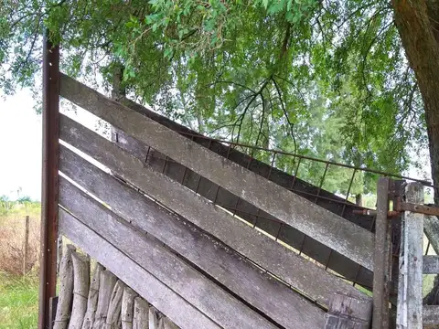 Campo en Venta Chacra