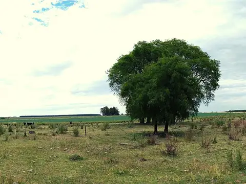 Colonia Yerua