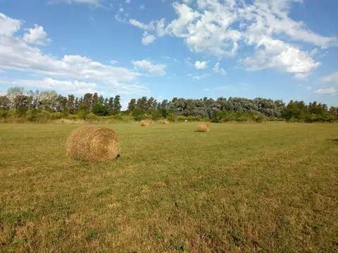 Campo a la venta en Open Door, Lujan