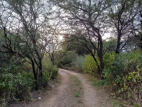 00208 - LOS SAUCES Vendo 2 Casas con acceso al Río San Marcos.