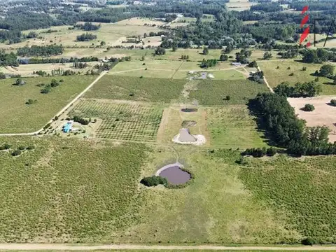 Campo en Venta Chacra