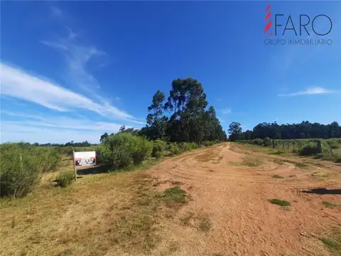 Campo en Venta de 10  ha