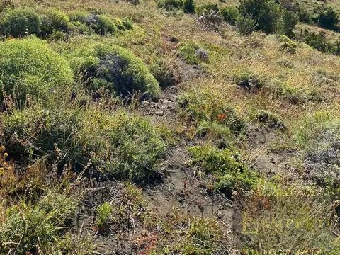 Terreno con vista al lago lolog en Barrio Kaleuche