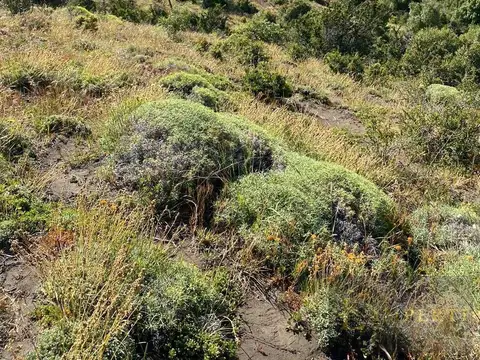 Terreno en Venta en Caleuche, USD 30.000