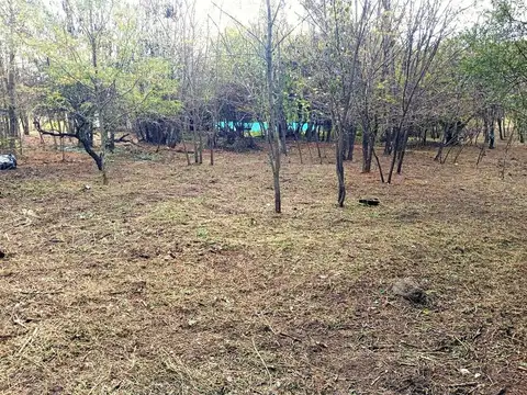 Terreno en Venta en Villa Santa Cruz del Lago, USD 22.000