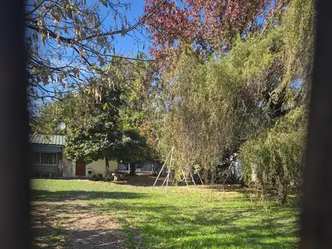 Luis piedrabuena 175