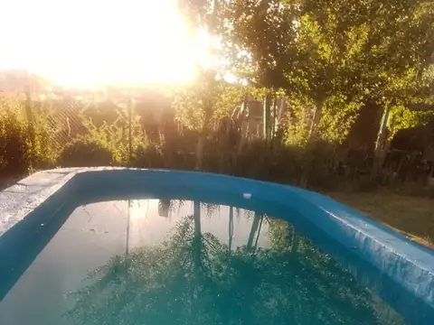 La tubera 100