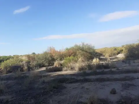 Ruta Nacional 40 100