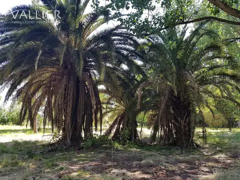 Los Tambos Ruta 25 Pilar km