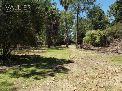 Terreno en Venta en Pilar, USD 115.000