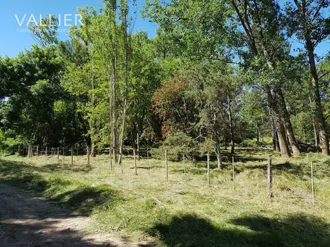 Los Tambos Ruta 25 Pilar km