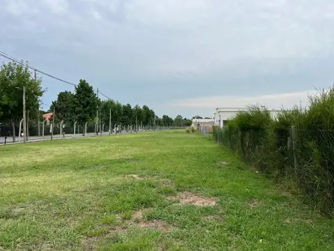 Terreno en Venta de 550,0 m2