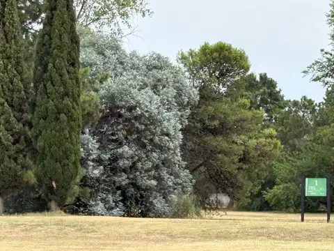 2 LOTES 1.666M2 VENTA SAINT THOMAS CENTRO- PERMUTA