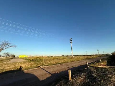 Actias esq. Beltramino