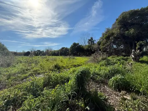 la escondida y patricios