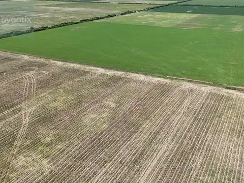 Campo de 66 hectáreas en Egusquiza
