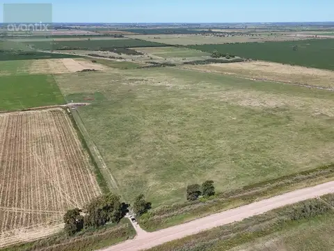 Campo de 66 hectáreas en Egusquiza