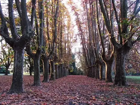 Terreno en Venta en Fighiera, Rosario