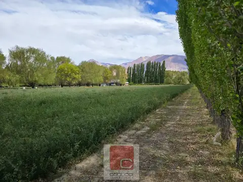Terreno en Venta en Uspallata, USD 30.000
