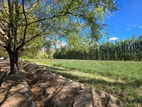 Terreno en Uspallata