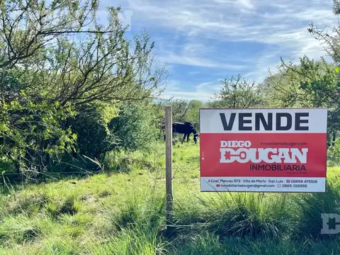 Calle Pública (Los Molles)