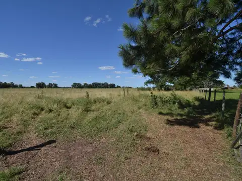 PREDIO EN VENTA APTO SUBDIVISION EN SAN MIGUEL DEL MONTE CON ACCESOS POR RUTA 41 Y POR RUTA 3