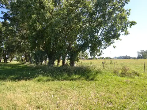 Terreno en Venta de 240000,0 m2