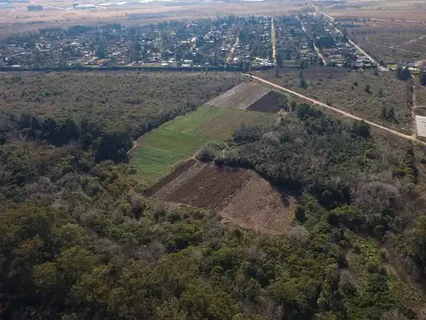 Terreno en ALQUILER (valor a consultar)- 52 h. Pilar km 56, a 2km de Panamericana- Laguna cristalina