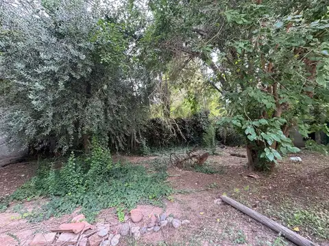 LOTE EN VENTA CHACRAS DE CORIA LUJAN DE CUYO 