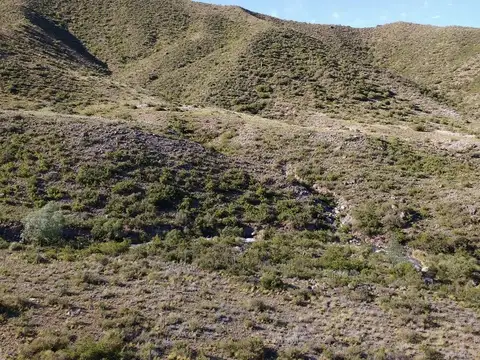 EXCELENTE TERRENO EN POTRERILLOS SOBRE RUTA 82