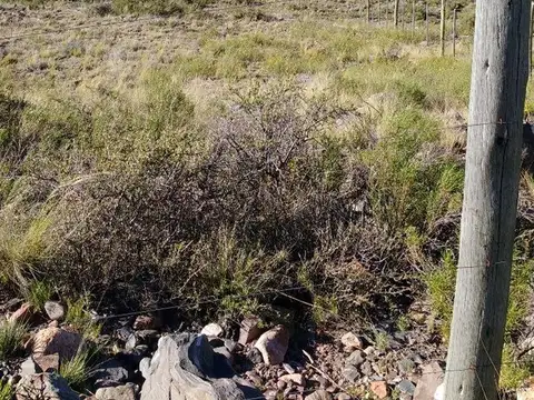 Terreno en Venta de 2000,0 m2