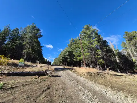 AVENIDA DEL PERÚ 700