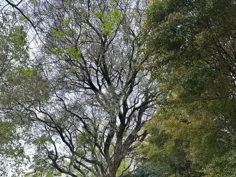 Terreno en Venta en San Isidro, USD 550.000