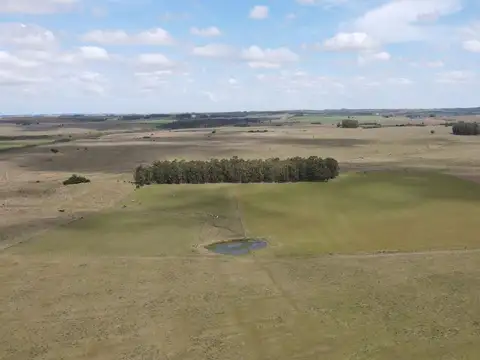 Quinta en Venta en Aigua, USD 1.100.000